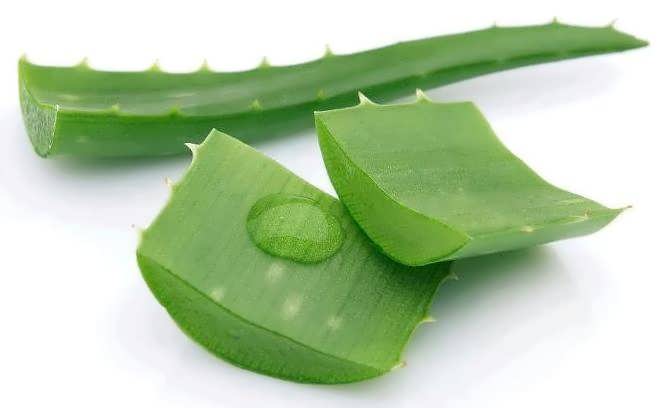 maska s aloe dlya volos