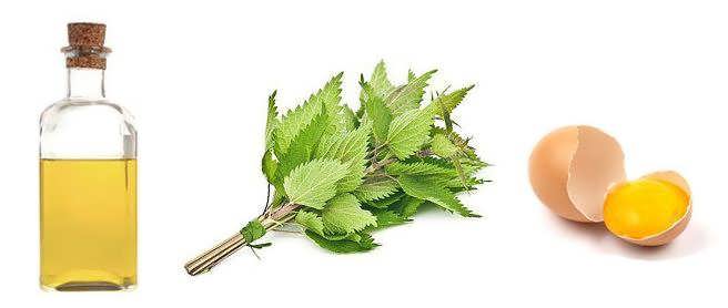 maska iz krapivy i yaytsa