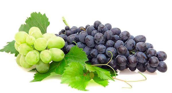 maslo vinogradnykh kostochek dlya volos