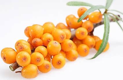 maslo iz oblepikhi dlya volos