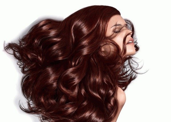 palette-kraska-dlya-volos9