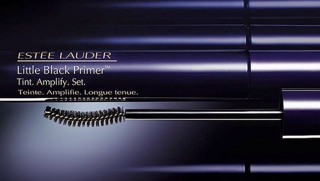 funkcii-i-osobennosti-prajmerov-dlya-resnic8