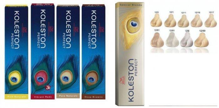 luchshaya-kraska-dlya-sedyh-volos10