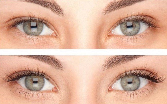 oblepihovoe-maslo-dlya-brovej-i-resnic5