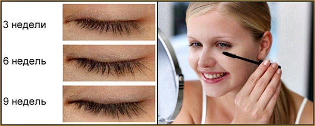 oblepihovoe-maslo-dlya-brovej-i-resnic7