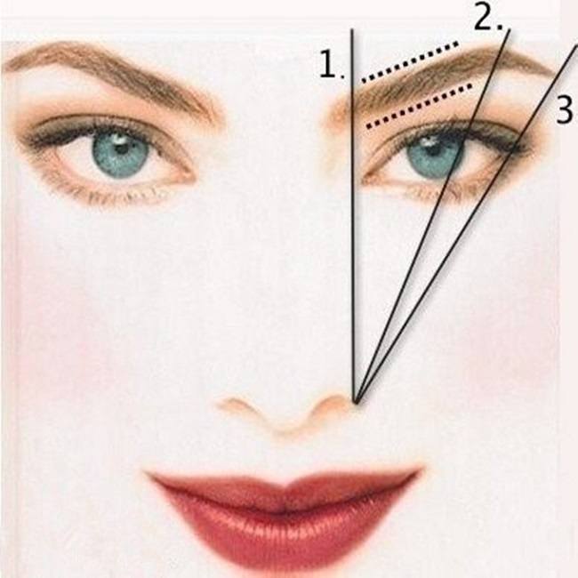 vse-o-sobolinyh-brovyah5