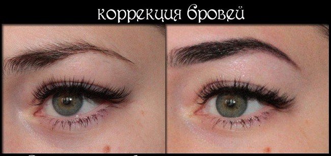 kak-polzovatsya-cirkulem-leonardo-dlya-brovej5