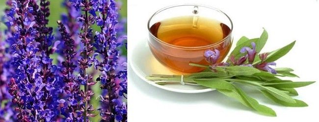 kak-sdelat-brovi-temnee-i-gushche-v-domashnih-usloviyah8