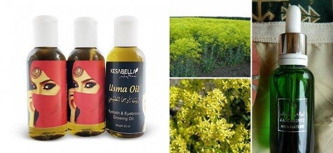 primenenie-masla-usmy-dlya-gustoty-resnic-i-brovej1