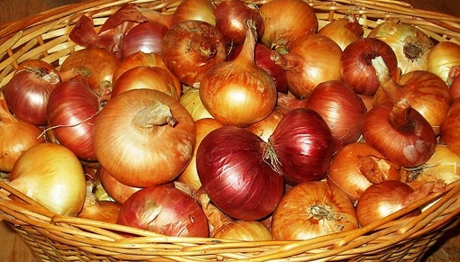 okrashivanie-volos-lukovoj-sheluhoj10